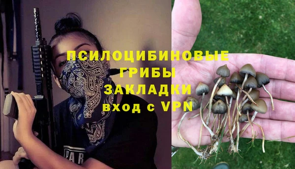PSILOCYBIN Нея