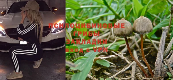 PSILOCYBIN Нея