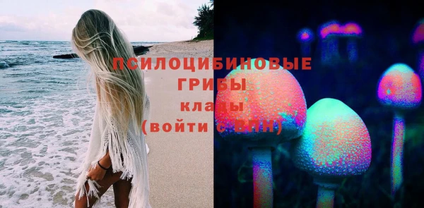 PSILOCYBIN Нея
